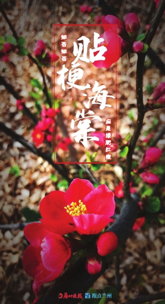 來，跟這些美美的花朵認識一下！