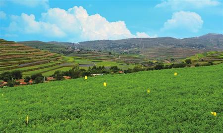 甘肅：推動產業扶貧 堅決打贏脫貧攻堅戰（圖）