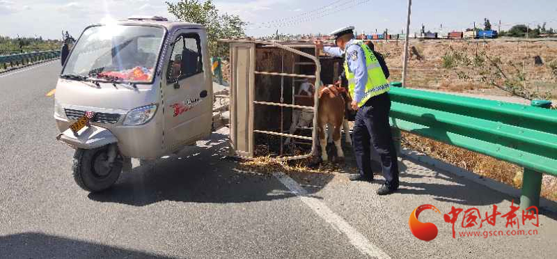 涼州交警及時(shí)救援側(cè)翻車(chē)輛 保道路暢通人員安全（圖）