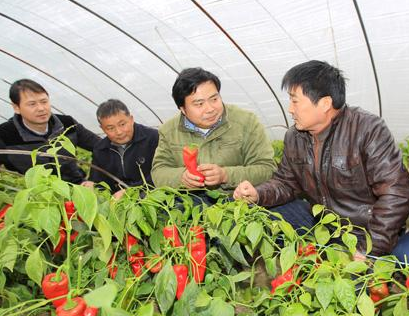 蘭州市農業科技人員“三下鄉”為農民開展技術培訓