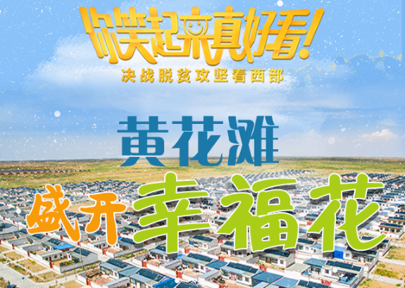【你笑起來真好看】黃花灘盛開幸?；ǎ▓D解）