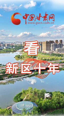 圖解|崛起！新區(qū)十年