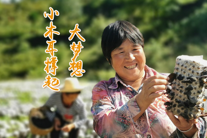 海報丨他們，乘“豐”破浪！