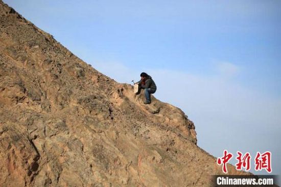 圖為敦煌“80后”畫家張杰龍在敦煌三危山里采集礦石顏料。(資料圖)受訪者供圖