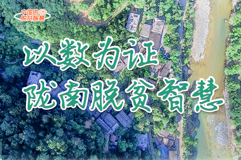 【中國的脫貧智慧】以數(shù)為證！隴南脫貧智慧來了！