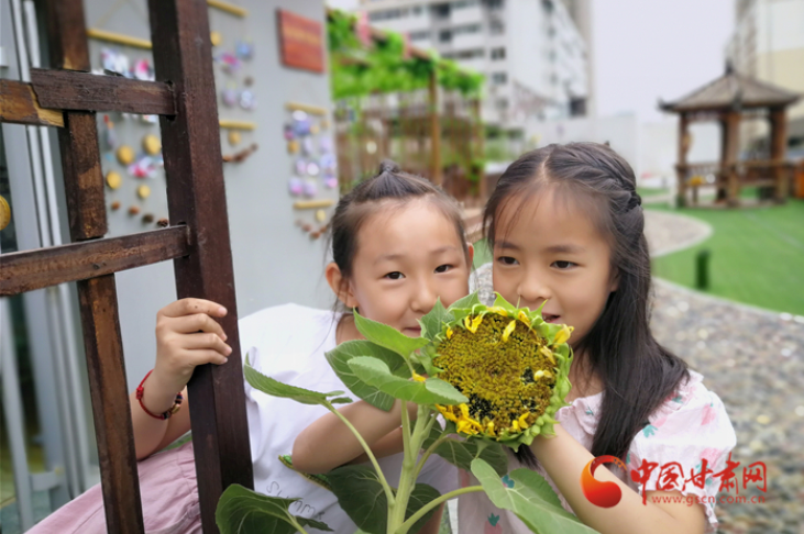 蘭州：社區小菜園豐收了 這些果實都可帶回家 