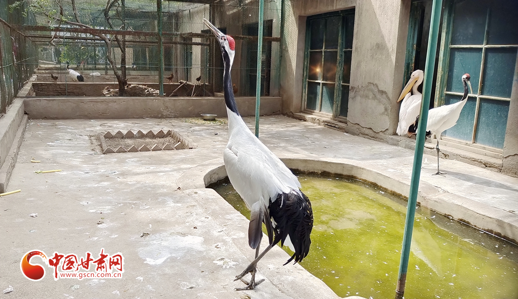 蘭州公安提醒市民：非緊急非必要，不出境