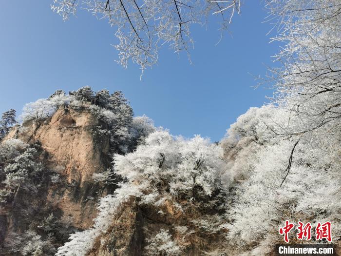 圖為藍(lán)天下霧凇籠罩山脈。 徐振華 攝 圖為藍(lán)天下霧凇籠罩山脈。 徐振華 攝