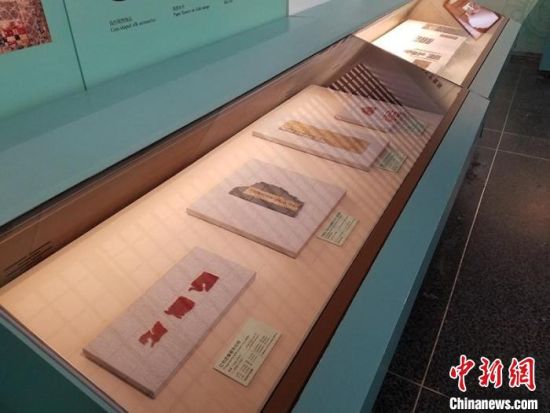圖為展覽現(xiàn)場。　敦煌研究院供圖