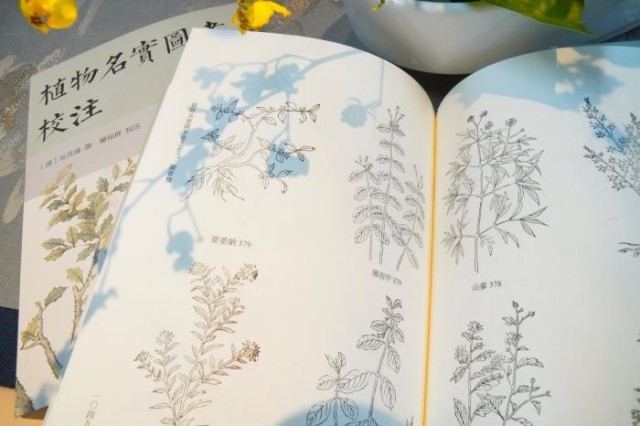 《植物名實圖考校注》內(nèi)頁。圖片來源:中華書局供圖