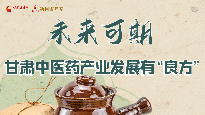 圖解|未來可期！甘肅中醫藥產業發展有“良方”