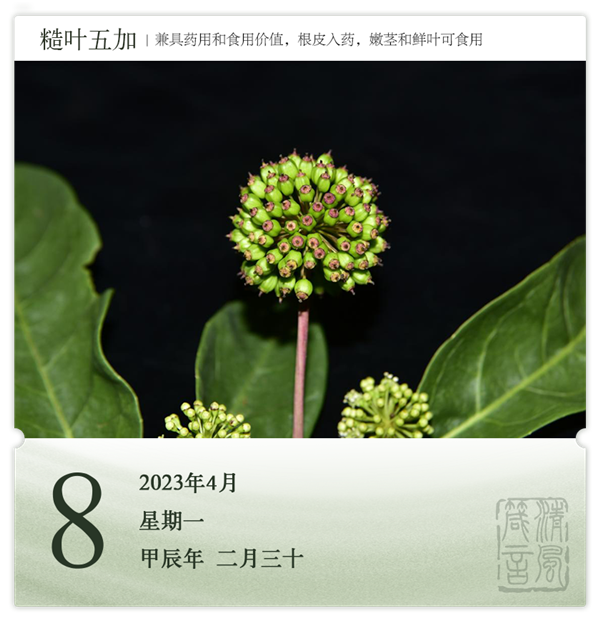 1712477584223646.png 箴歷日歷4-8.png