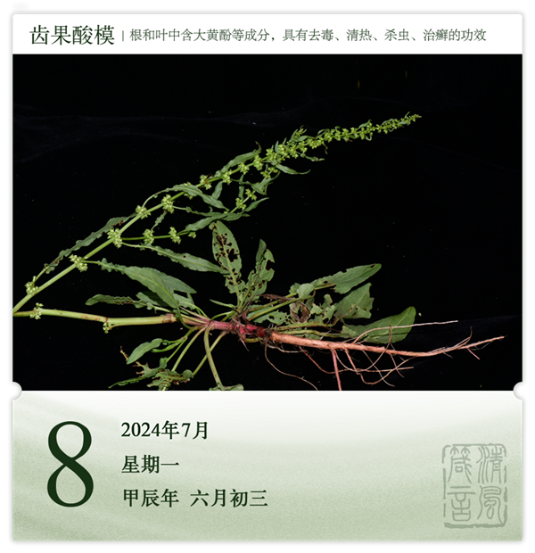 1720151060808075.png 箴歷日歷7-8.png
