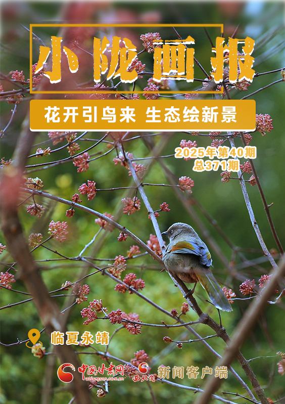 【小隴畫報(bào)·371期】永靖：花開引鳥來 生態(tài)繪新景